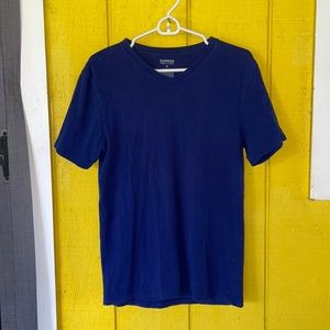 Express Stretch V-Neck #1000